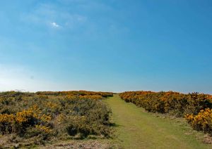 Tennyson Down, Isle of Wight, path to the Tennyson Momument